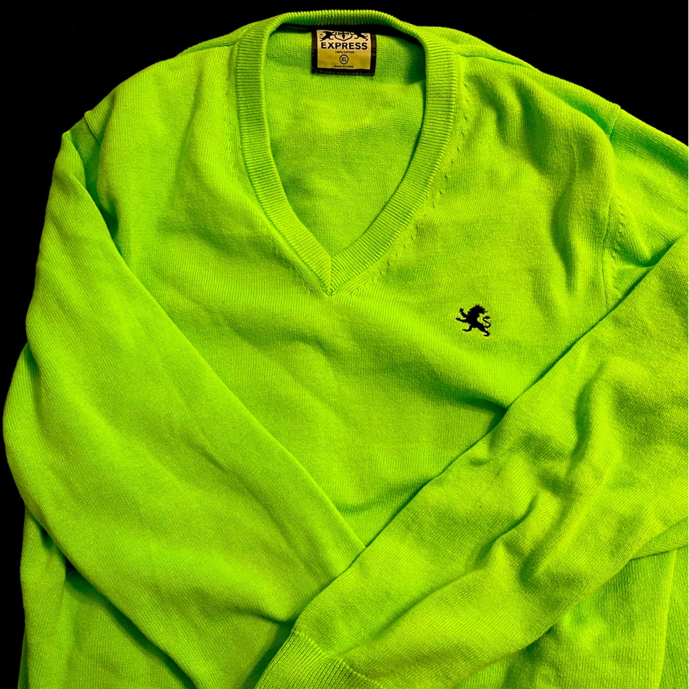 Express V Neck Sweater